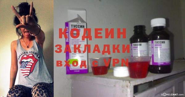 сатива Беломорск