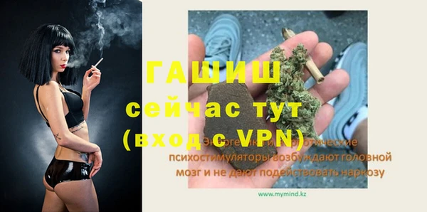 сатива Беломорск