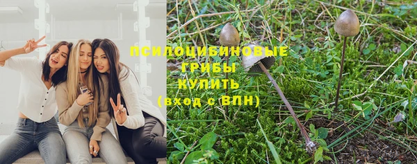 гидропоника Богданович