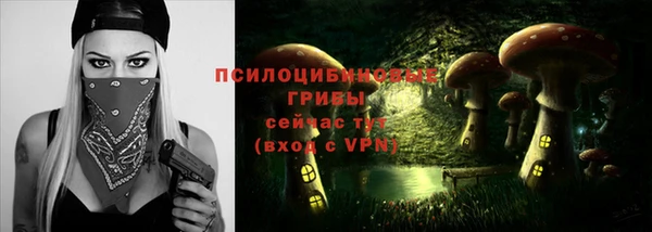 сатива Беломорск