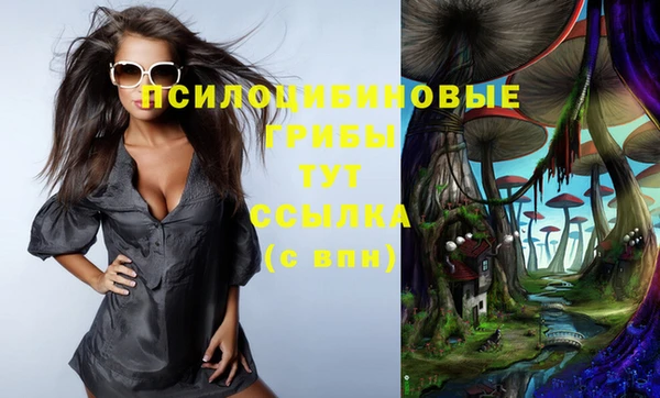 гидропоника Белоозёрский