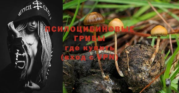 ешки Балахна