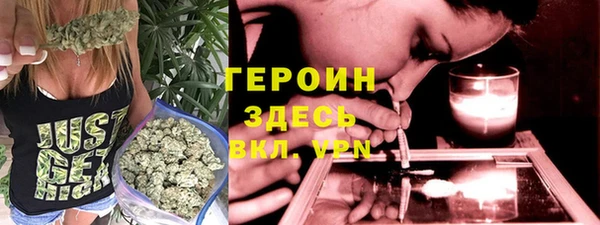 сатива Беломорск