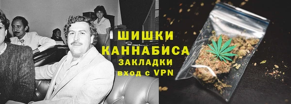 сатива Беломорск